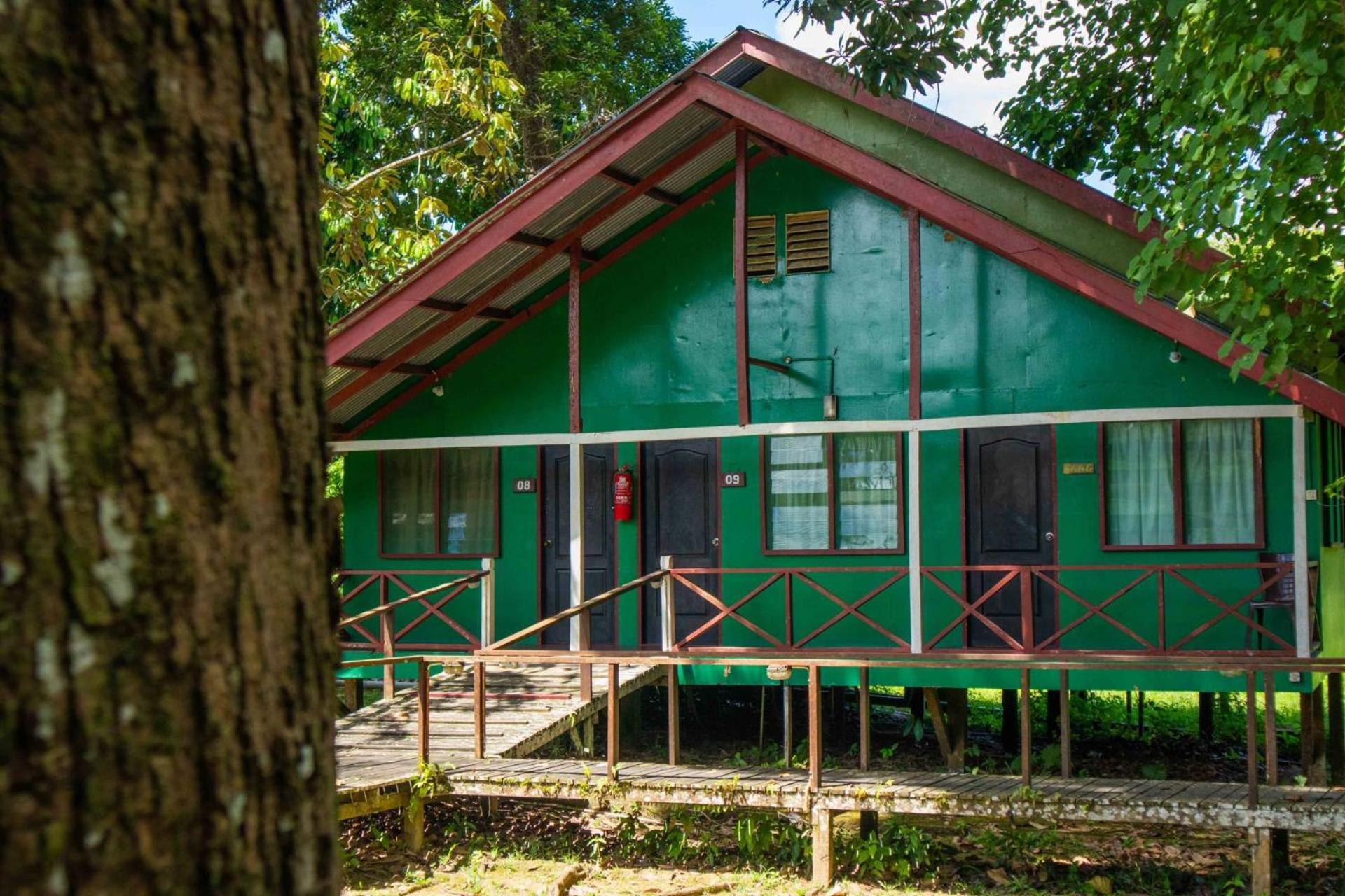 Sukau Greenview Bed & Breakfast Exterior photo